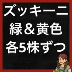 Takaaki Yano様 リクエスト 2点 まとめ商品