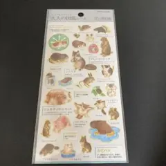 大人の図鑑シール げっ歯目編 - メルカリ