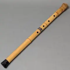 Item thumbnail for item 4e502f75-11db-4c14-8e8a-2edf8e598882