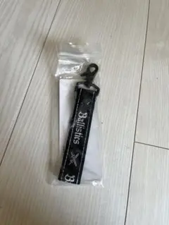 Item thumbnail for item 6b49dbda-f2e5-44a5-8aea-e3ac06c1df76