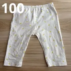 Item thumbnail for item 1589f2a7-70e5-4047-863d-bcca871266e2