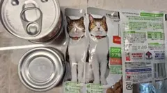 ヒルズ k/d 腎臓ケア 猫用ウェットフード 缶詰＆パウチセット6セットのサムネイル