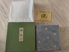 Item thumbnail for item 9c1a5b83-005c-44cb-9301-2210fd044912