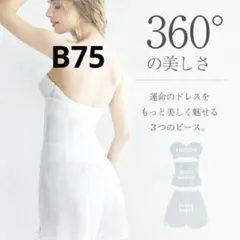 hugge bridal ブライダルインナー3点セット