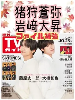 TVガイド 10/23号 猪狩蒼弥 岩﨑大昇 切り抜き テレビガイド②