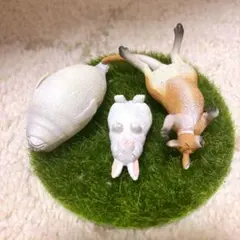 2026年最新】もうしら寝の人気アイテム - メルカリ