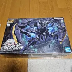 １1日朝８時まで　HG 1/144 ガンダムザガン