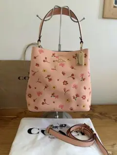 Item thumbnail for item 6e8797fe-f659-4847-9209-e24512a040a7