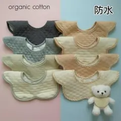 Item thumbnail for item 48cc117a-4d77-4cce-bb87-3c463d0aeea9