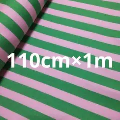 Item thumbnail for item 975ff59f-6fdc-4407-80a8-23496e806440