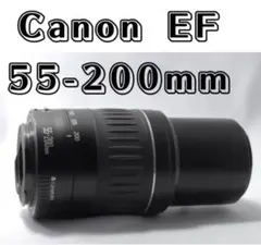 2025年最新】EF 55-200mm F4.5-5.6 II USMの人気アイテム - メルカリ