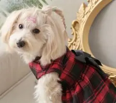 Item thumbnail for item 87bb9e33-11d0-4e2b-929c-f97d4b7ed9c2