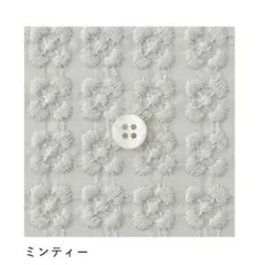 0.5m C&Sコットン小さなプルメリア 刺繍生地