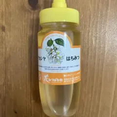 群馬県産 沼田市 アカシア蜂蜜 はちみつ 250g【満天☆青空レストランで紹介】のサムネイル
