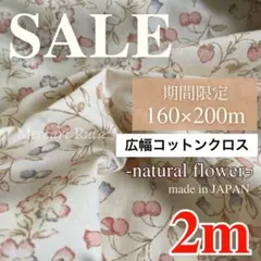 Item thumbnail for item b16202bb-75be-4a44-97f5-ecb7abdeee8a