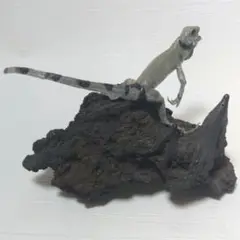 グリーンイグアナ　剥製　溶岩石　置物　インテリア置物　ミ10