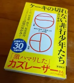 ケーキの切れない非行少年たち 宮口幸治