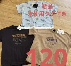 恐竜　半袖　夏物　カットソー　ポケットモンスター