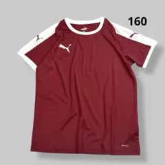 puma プーマ サッカー プラクティスシャツ 半袖Tシャツ キッズ160