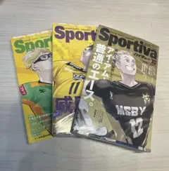 ハイキュー!! ショーセツバン!3・6・11巻Sportivaコラボ