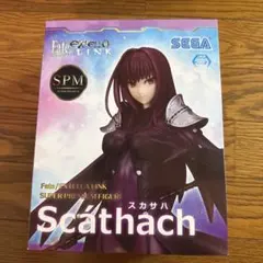 Fate/Extella Link Scáthach フィギュア