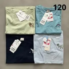 【未使用タグ付き】プティマイン　半袖Tシャツ4枚セット