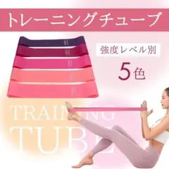 トレーニングチューブ 強度別付 5本 ゴムバンド エクサイズ 筋トレヨガ ピンク