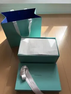 Tiffany&Co. ティファニー空箱保存袋ショッパーギフトカード封筒