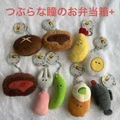 [タグ付き]つぶらな瞳のお弁当箱+ 9個セット