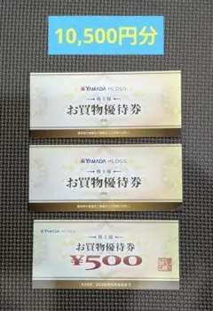 10500円分 ヤマダホールディングス お買物優待券 ヤマダデンキ