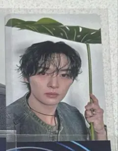 Stray Kids スキズ バンチャン 会場限定トレカ エコパ 5/11