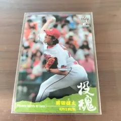 前田健太 BBM 2014 スポーツカードマガジン付録
