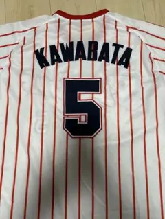 ありがとう川端慎吾！！