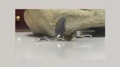 Item thumbnail for item ea09f635-4c82-4631-9f9e-1fb96232a378