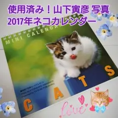 2024年 茶トラ猫 カレンダー/ブラウントラウト 30.5 x 61 cm - メルカリ