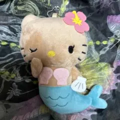 2026年最新】アベイル キティ 日焼け ぬいぐるみの人気アイテム - メルカリ