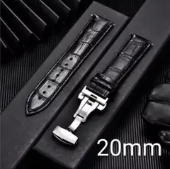 Item thumbnail for item 81e354a1-668a-44e7-a45e-2eaa1356e520