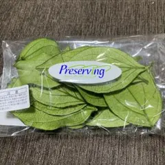 다이치 팜 발삼 리프 프레서 프레시 그린