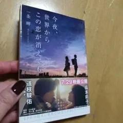 Item thumbnail for item e9c92210-3e98-4109-abb5-503195c61f93