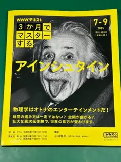 2026年最新】アインシュタインの人気アイテム - メルカリ