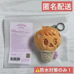 MINITEEN ICE CREAM Plush Keyring プギュリ - メルカリ