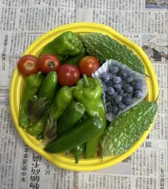 新鮮 夏野菜 詰め合わせのサムネイル