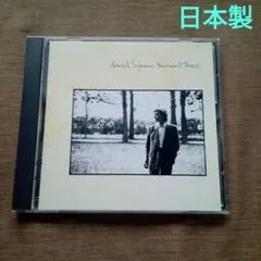 David Sylvian 【Brilliant Trees】日本語訳付