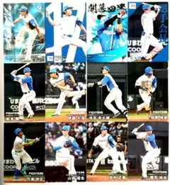 2025カルビープロ野球チップス 日本ハムファイターズ　スターカード他12枚