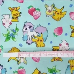 ポケモン/イチゴ柄【40×55cm】ポケモン/生地/はぎれ/布