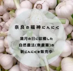 【自然栽培・無農薬】新月に植えた奈良県産にんにく800g以上【数量限定】のサムネイル