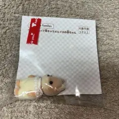 キャラメルイヌ 赤ちゃん