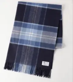 マフラーブルー系