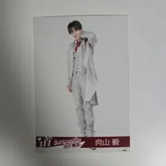 【未使用品】SOLIDEMO 向山毅 アクスタ シークレットver メルカリ