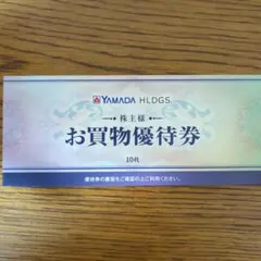 ヤマダ電機 お買物優待券 10枚　5000円分